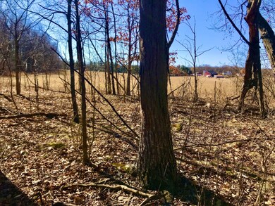 17 South Field View