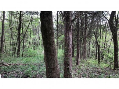 56 E Mud Pike Rd, Osgood, IN 47037 - photo 5