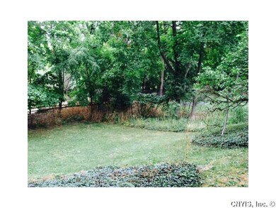 Yard.