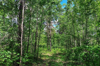 101 Swamp Lake Rd, Tomahawk, WI 54487 - photo 5