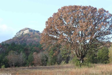 0 Hwy 110 E unit 17033878, Heber Springs, AR 72543 - photo 4