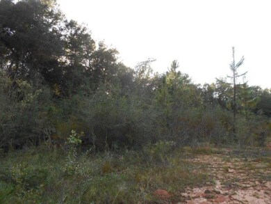 Clearing 4