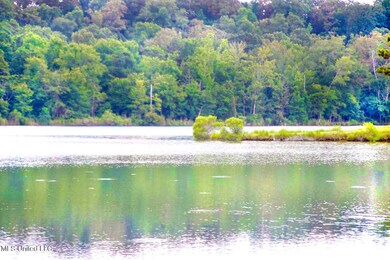 0 Chestnut Hill Rd unit 4119139, Flora, MS 39071 - photo 6