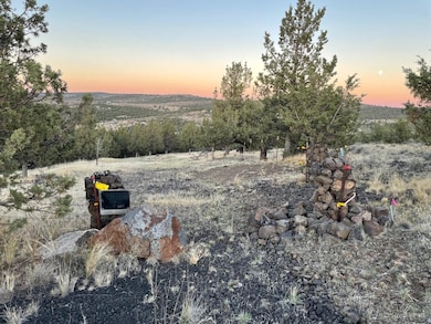 14751 SE Browning Rd, Prineville, OR 97754 - photo 3