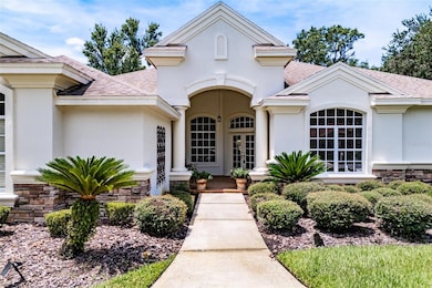 6031 Audubon Manor Blvd, Lithia, FL 33547 - photo 2