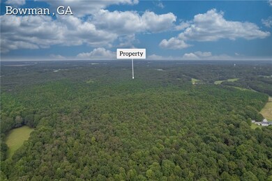 0 W Church St unit 20243450, Bowman, GA 30624 - photo 5