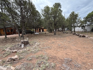 2181 Hashknife Dr unit 41, Overgaard, AZ 85933 - photo 4