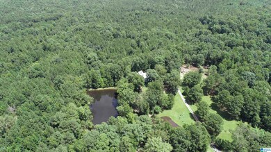 0 James Taylor Rd unit 35 Ac TBD by Survey, Moody, AL 35004 - photo 2