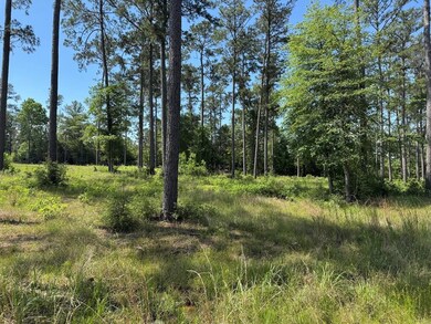 008, Brookeland, TX 75931 - photo 2