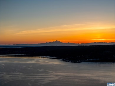 358 Daisey King Rd, Sequim, WA 98382 - photo 3