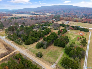 2312 Hurricane Creek Rd, Gurley, AL 35748 - photo 4