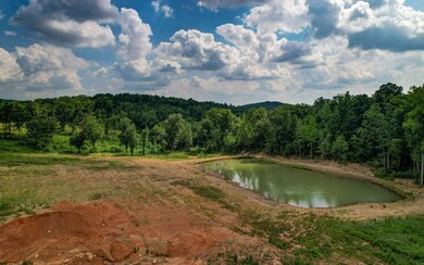 1379 Leeches Rd, Ellijay, GA 30540 - photo 2