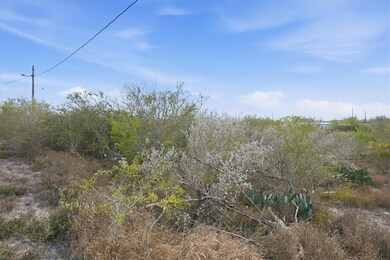 00 Ranger Dr, Sandia, TX 78383 - photo 6