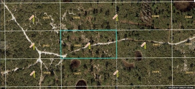 0 Dill Rd unit MFRO6232005, Orlando, FL 32820 - photo 2