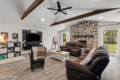 642 Carmel New Hope Rd, Monticello, MS 39654 - photo 3