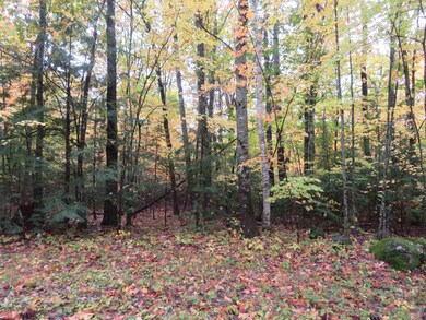 00 Savoy, Moultonborough, NH 03254 - photo 5