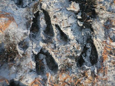 0 Crescent Rd unit 1669467, Byron, WI 54666 - photo 3