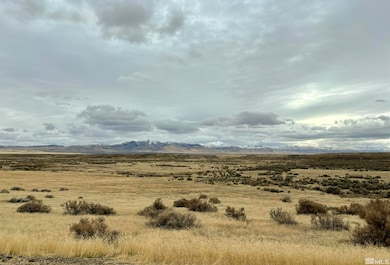 03074117 Mcdermitt, McDermitt, NV 89421 - photo 2