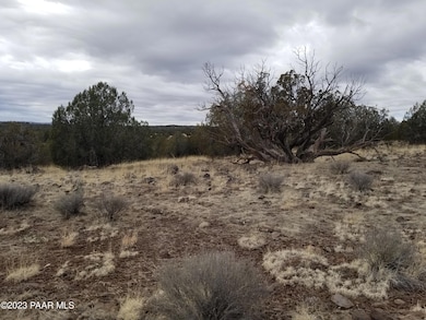 Lot 76 Juniperwood Ranch, Ash Fork, AZ 86320 - photo 2