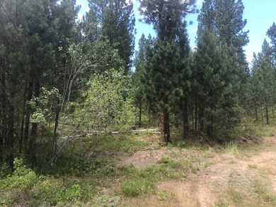 The Most Private Build Site in Whispering Pines