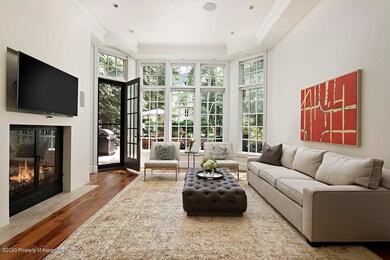 234 W Hallam St unit 234, Aspen, CO 81611 - photo 2