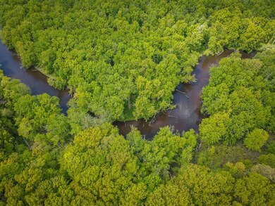 Parcel A E Conrad Rd, Custer, MI 49405 - photo 7