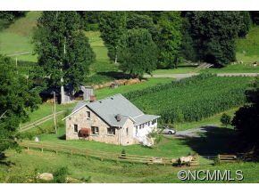 3594 Bald Mountain Rd, Burnsville, NC 28714 - photo 4