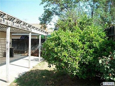 Back Yard/Patio