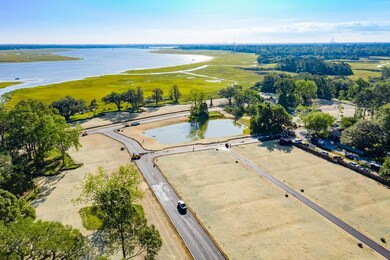 Drone shot of community