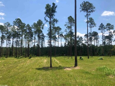 32642 County Road 64 Extension, Robertsdale, AL 36567 - photo 3