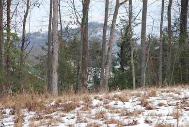 0 Foot Hills Rd unit Parcel A & B, Greenville, SC 29617 - photo 7