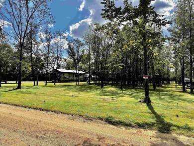 350 Barge View Ln, Adamsville, TN 38310 - photo 5