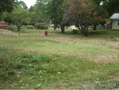 441 E Cheston St, Virginia, IL 62691 - photo 5