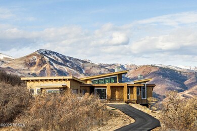 002_9563nlonepeakln1_465