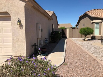 Walkway to Backyard