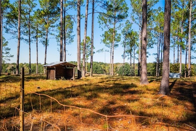 9283 Tallokas Rd unit 54/13, Pavo, GA 31778 - photo 7