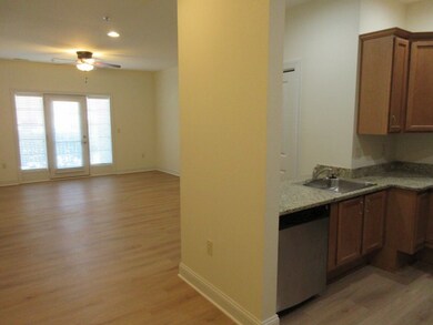 Kitchen and Living