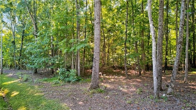 0 Bethel South Fork Rd unit 1194534, Graham, NC 27253 - photo 6