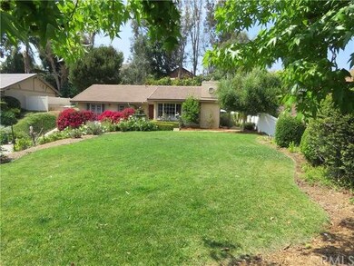 Large front lawn bordered by lovely trees and bush