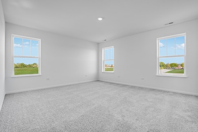 12217 Dodwell St, Huntley, IL 60142 - photo 5