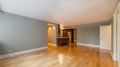 unlisted-address, Chicago, IL 60611 - photo 6