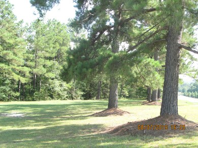 17370 Hwy 441 1 Acre