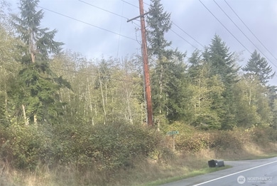 0 Forest View Ln, Greenbank, WA 98253 - photo 4