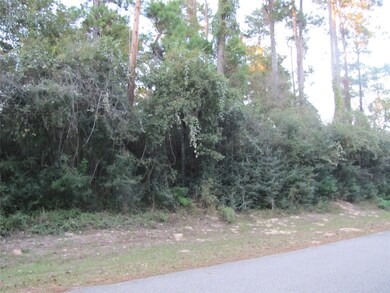 0 Sentinel Oaks, Pinehurst, TX 77362 - photo 3