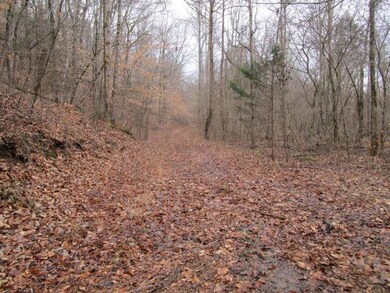 0 Corbin Lake Rd unit 1118174, Rutledge, TN 37861 - photo 6