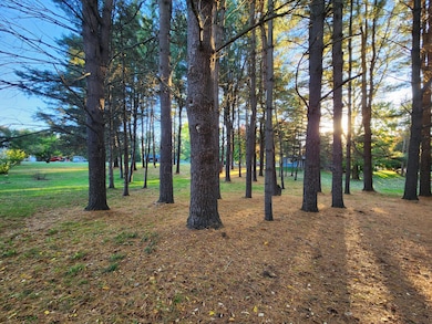 1523 Garfield St, Marne, MI 49435 - photo 2