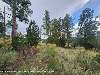 Lot 2A Snow Park Rd, Alto, NM 88312 - photo 5
