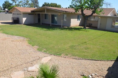 Back Yard (2).JPG