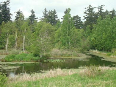 5076 Festival Blvd unit 2B, Bellingham, WA 98226 - photo 5