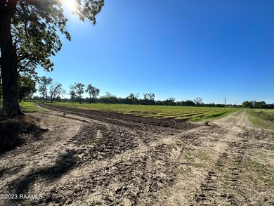 0 N Barn Rd unit 23008960, Breaux Bridge, LA 70517 - photo 5